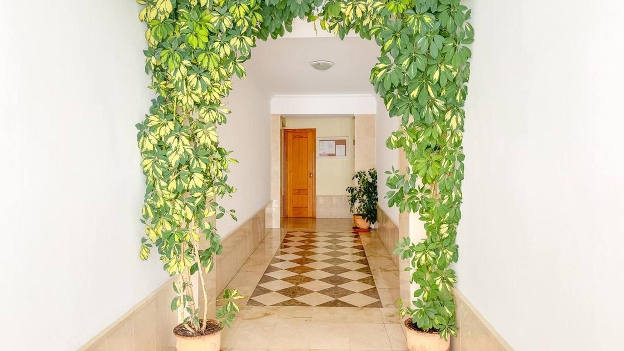 Cd-1941 Two Bedroom With Patio Appartement